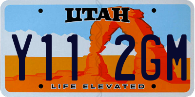 UT license plate Y112GM