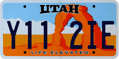 UT license plate Y112IE