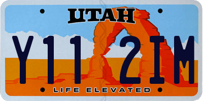 UT license plate Y112IM