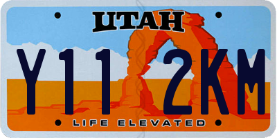 UT license plate Y112KM