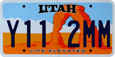 UT license plate Y112MM