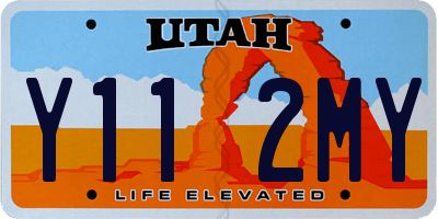 UT license plate Y112MY