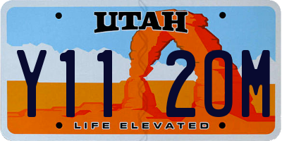 UT license plate Y112OM