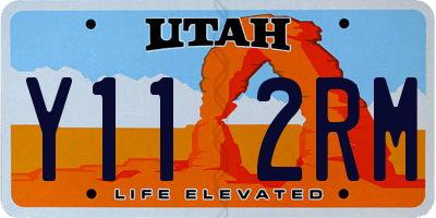 UT license plate Y112RM