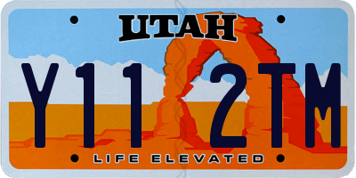 UT license plate Y112TM