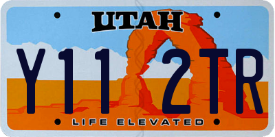 UT license plate Y112TR