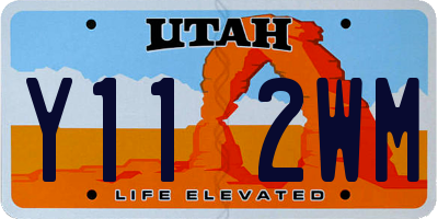UT license plate Y112WM