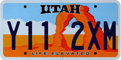 UT license plate Y112XM