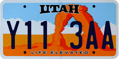 UT license plate Y113AA