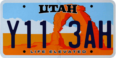UT license plate Y113AH