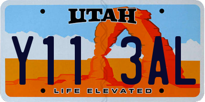 UT license plate Y113AL