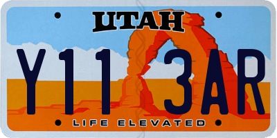 UT license plate Y113AR