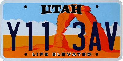 UT license plate Y113AV