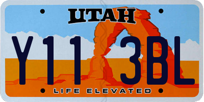 UT license plate Y113BL