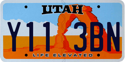 UT license plate Y113BN