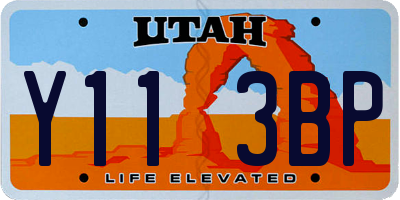 UT license plate Y113BP