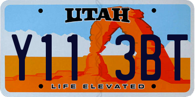 UT license plate Y113BT