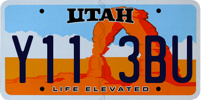 UT license plate Y113BU