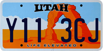 UT license plate Y113CJ