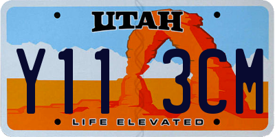 UT license plate Y113CM