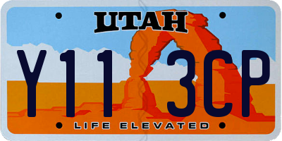 UT license plate Y113CP