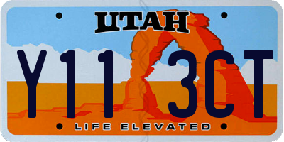 UT license plate Y113CT