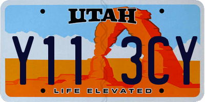 UT license plate Y113CY
