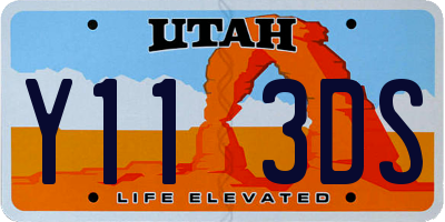 UT license plate Y113DS