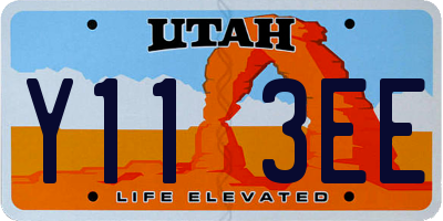 UT license plate Y113EE