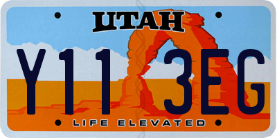 UT license plate Y113EG