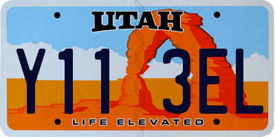 UT license plate Y113EL