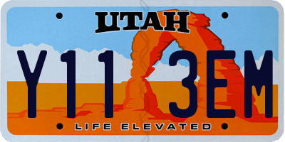 UT license plate Y113EM