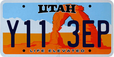 UT license plate Y113EP