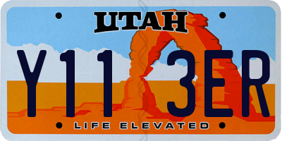 UT license plate Y113ER
