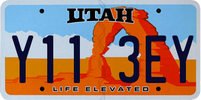 UT license plate Y113EY