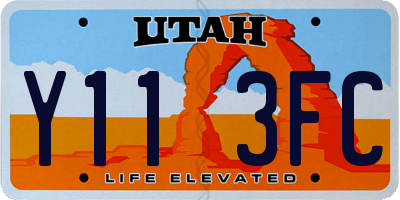 UT license plate Y113FC