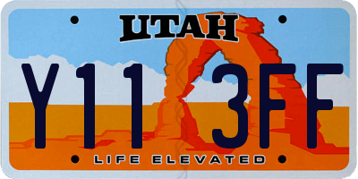 UT license plate Y113FF