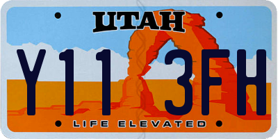 UT license plate Y113FH