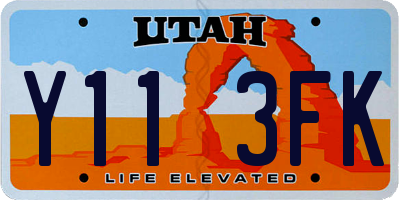 UT license plate Y113FK