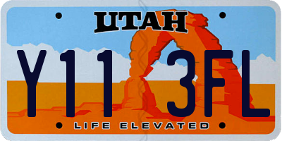UT license plate Y113FL