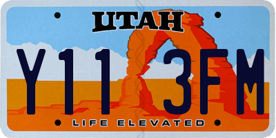 UT license plate Y113FM