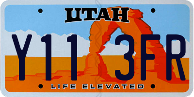 UT license plate Y113FR