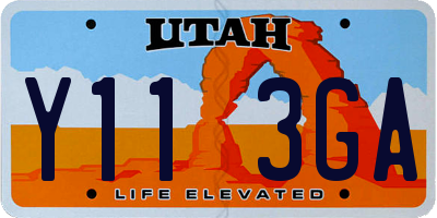 UT license plate Y113GA