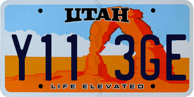 UT license plate Y113GE