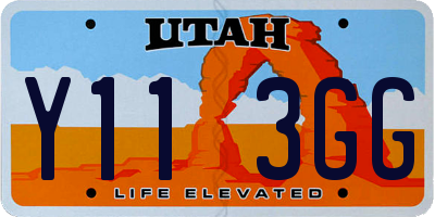 UT license plate Y113GG