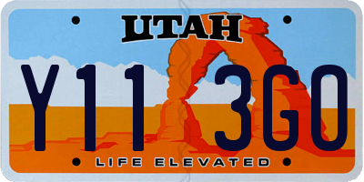 UT license plate Y113GO