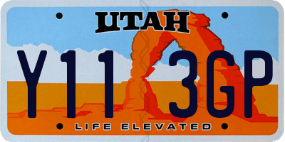 UT license plate Y113GP