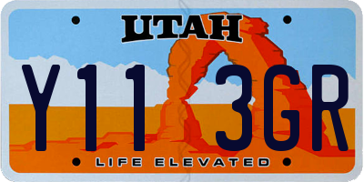 UT license plate Y113GR
