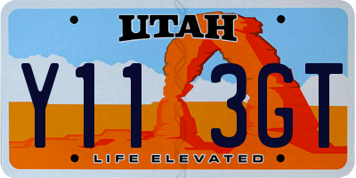 UT license plate Y113GT
