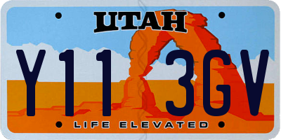 UT license plate Y113GV
